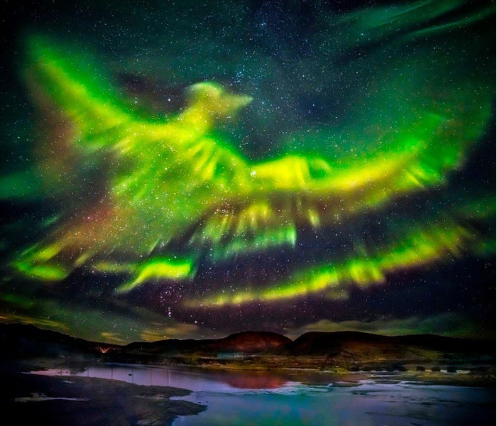 Северное сияние в Исландии, принявшее форму птицы Феникс.