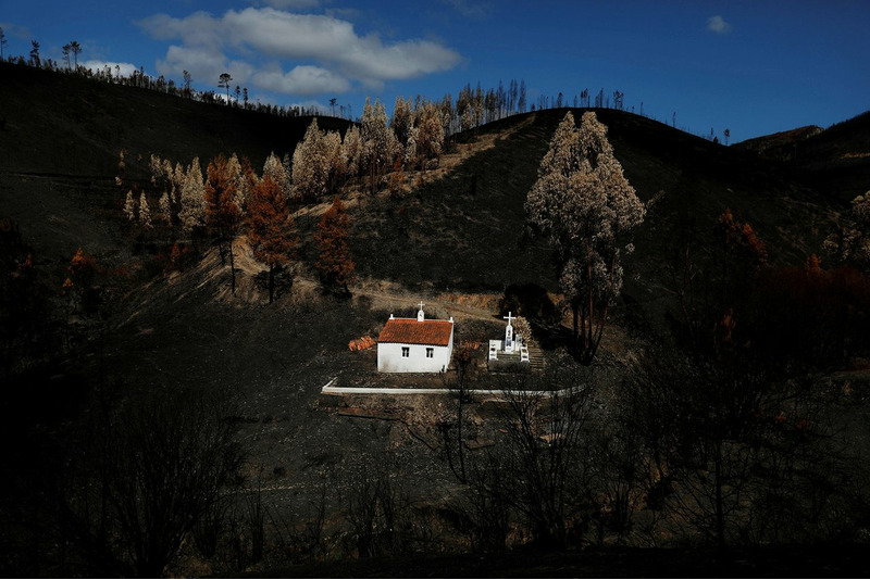Последствия лесного пожара в Португалии
