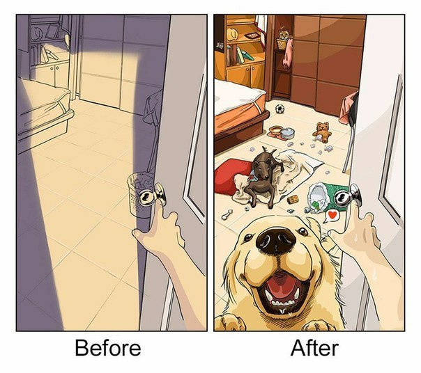 Жизнь до и после появления собаки