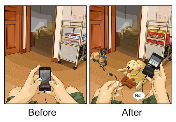 Жизнь до и после появления собаки