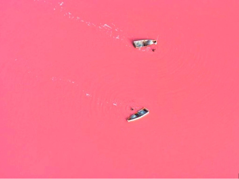 Это Ретба, озеро в Сенегале, цвет воды которого просто завораживает. Почему же оно такое розовое? Все дело в том, что в озере довольно высокая концентрация соли (до 40 процентов). Поглощая её, одноклеточная бактерия дуналиелла солоноводная, окрашивает воду в розовый цвет.