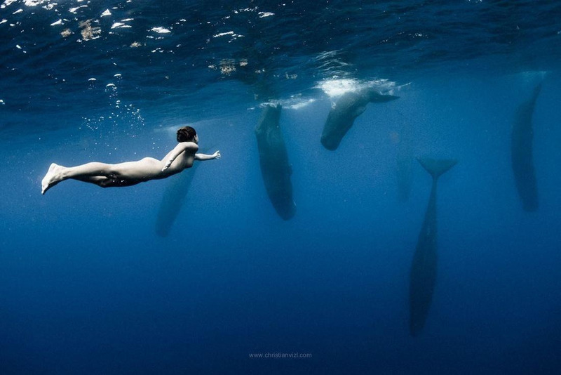 плавает голая с китами