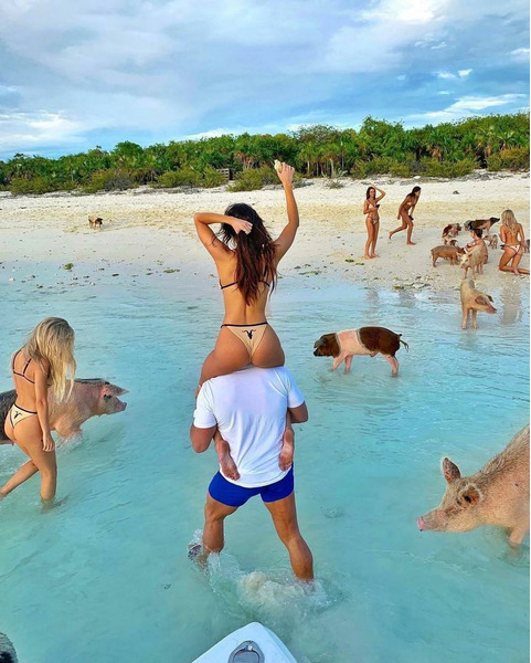 смешные девушки