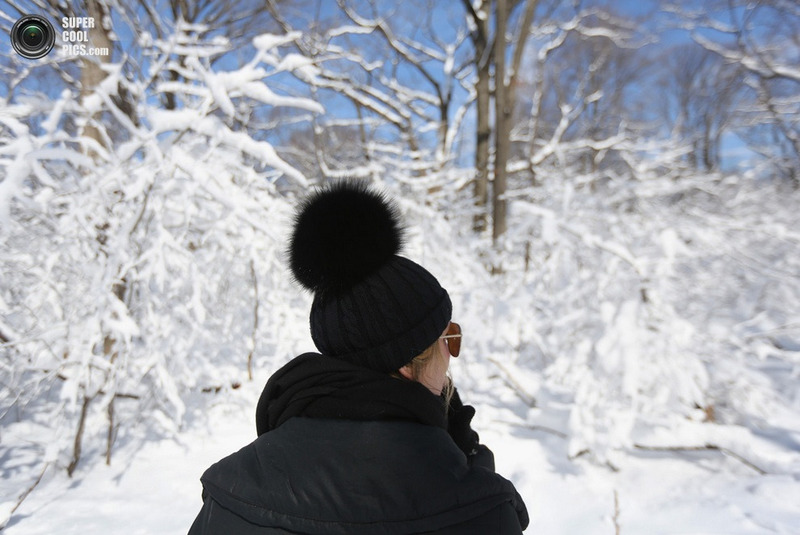 Девушка зимой со спины