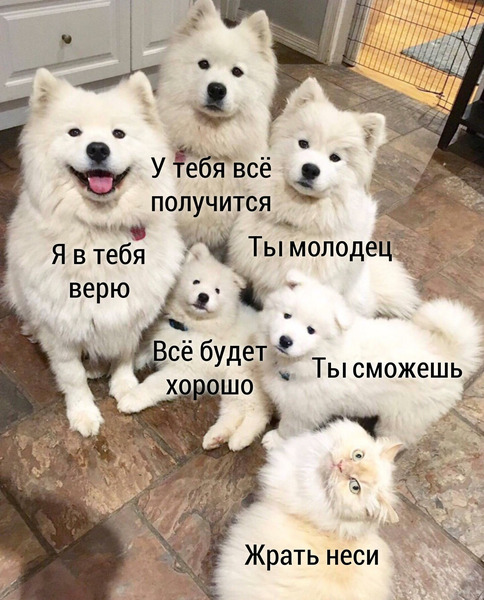 мемасы