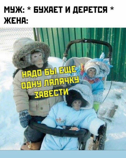 мемасы