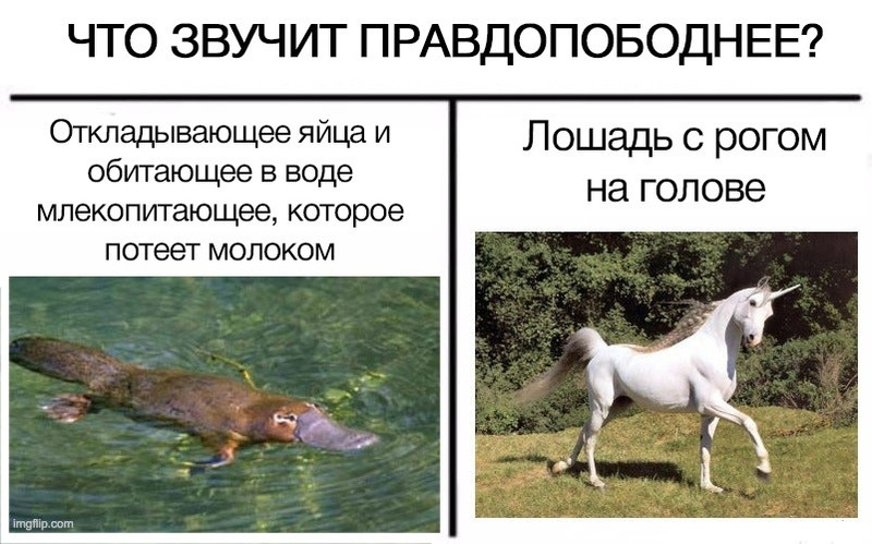 мемасы