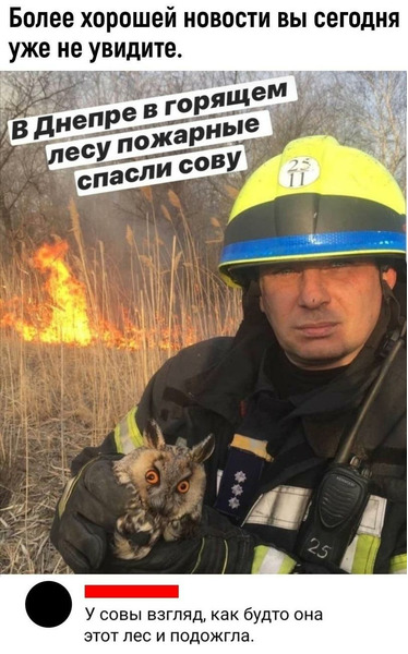 мемасы