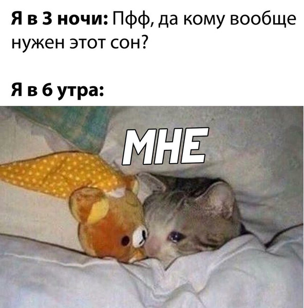 мемы