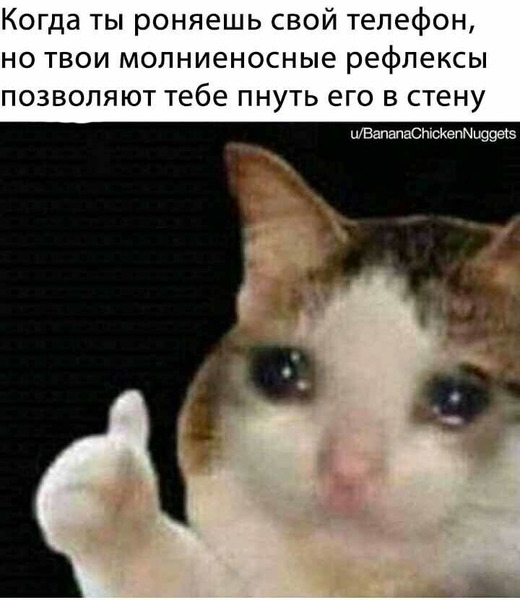 мемы