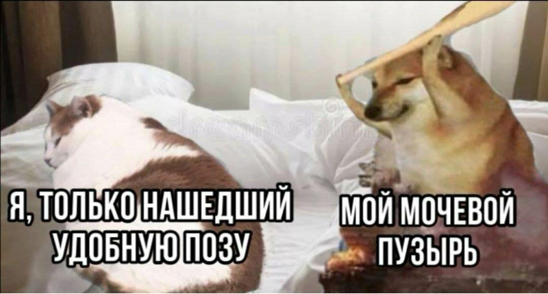 смешные мемы
