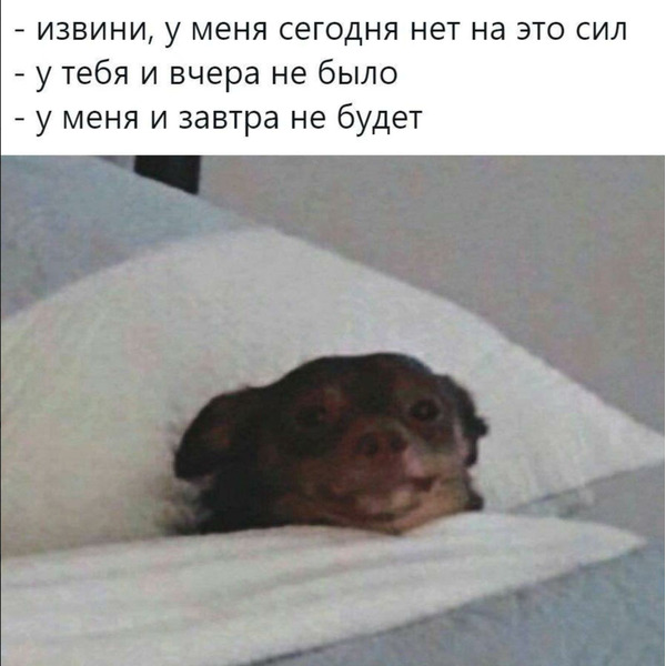 смешные мемы