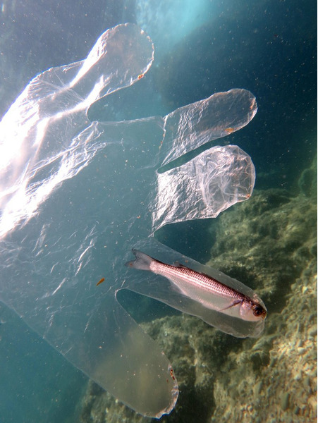 Пластик в океане