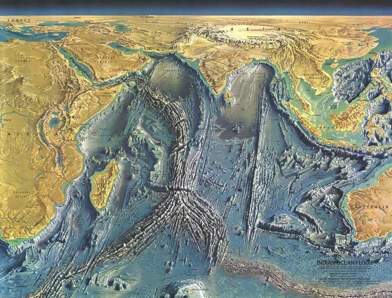 Рельеф дна Мирового океана