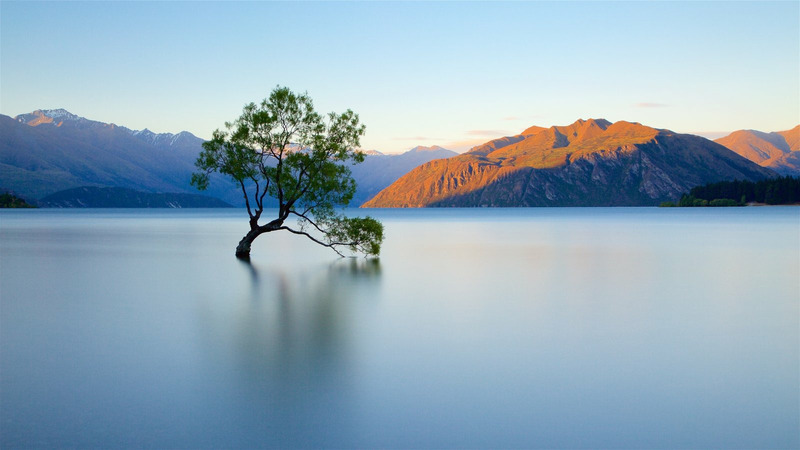 Озеро Ванака в Новой Зеландии