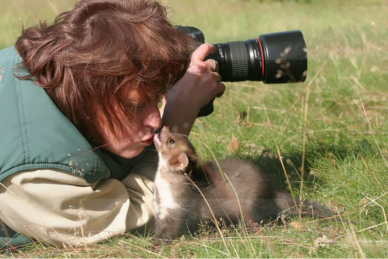 Животные мешают фотографам