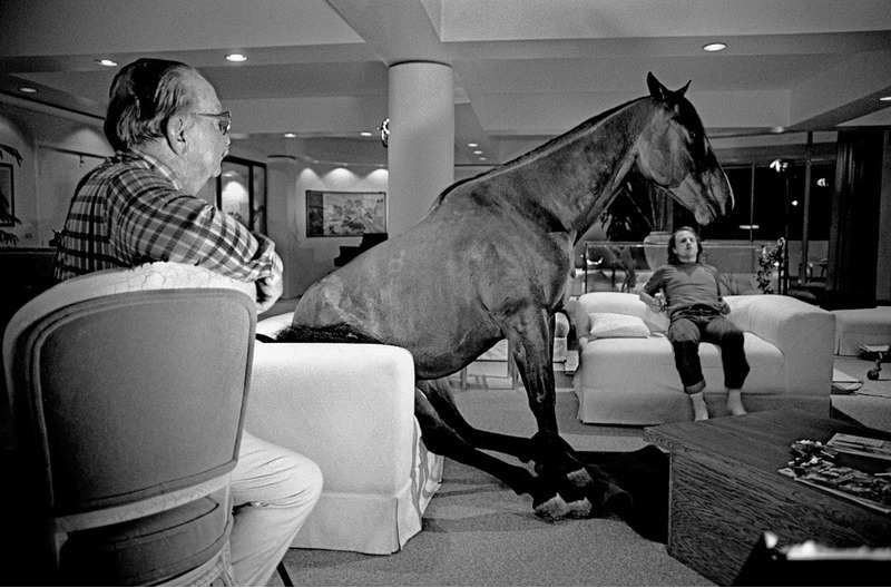 Дрессированная лошадь на съемках фильма Удачное наследство, 1988 год.