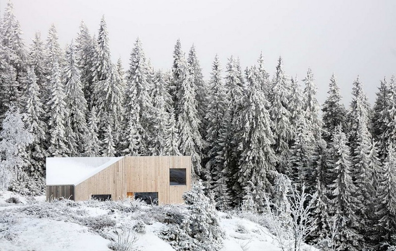 Дом в лесу норвегия купить дом в довиле