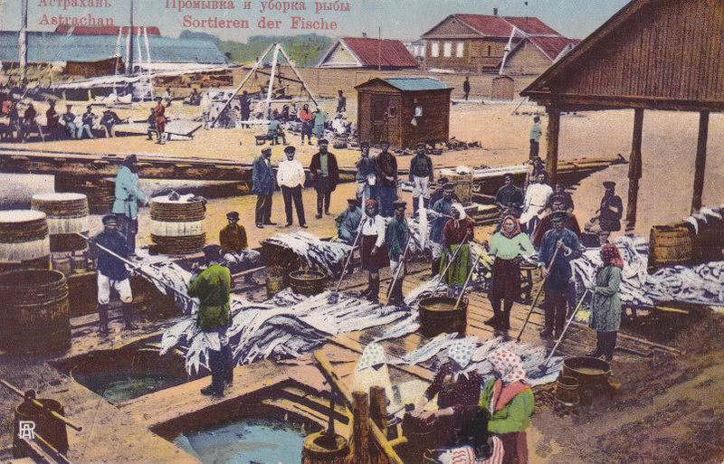 Какой промысел был распространен в районе астрахани. Астрахань рыбный промысел 19 век. Астраханский рыбный промысел, Астрахань 19 век. Торговля в Астрахани 18 век. Астрахань рынок 19 век.