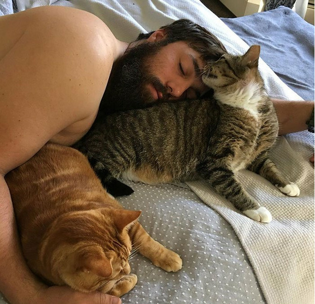 Мужчины с котами