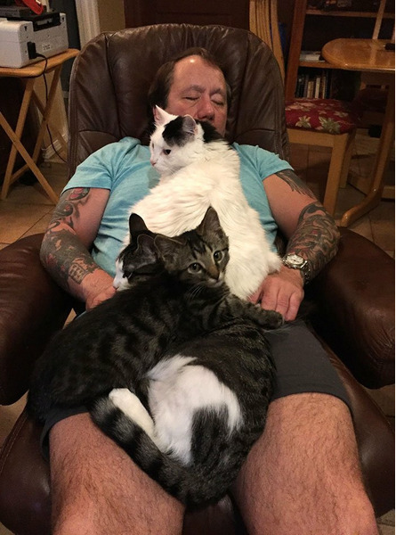 Мужчины с котами