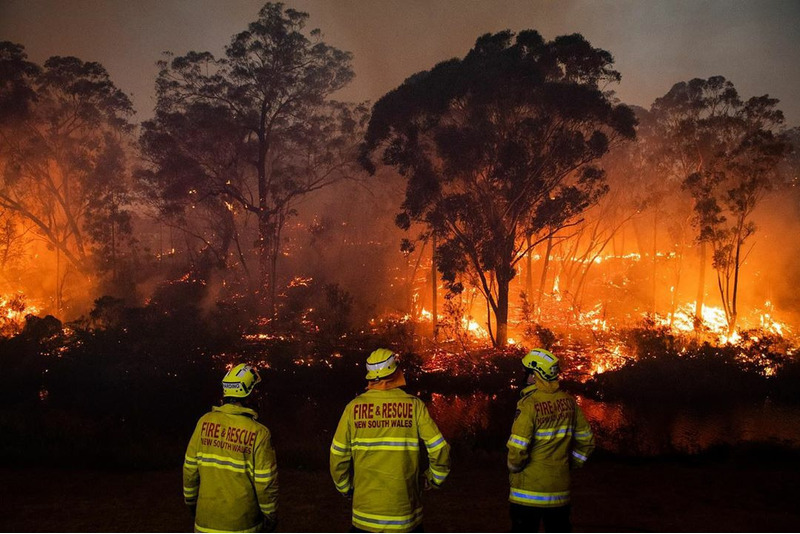 лесные пожары в Австралии