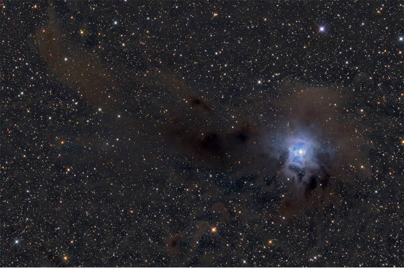 Туманность Ирис (NGC 7023)