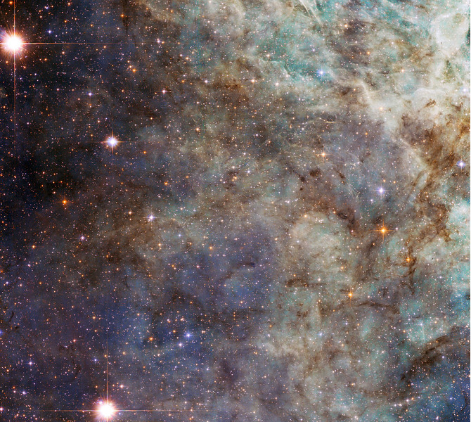 Туманность Тарантул (NGC 2070)