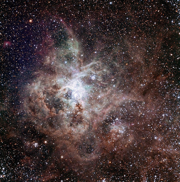 Туманность Тарантул (NGC 2070)