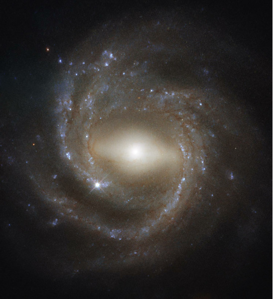 галактика NGC 7773
