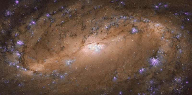 Центральная часть спиральной галактики NGC 2903