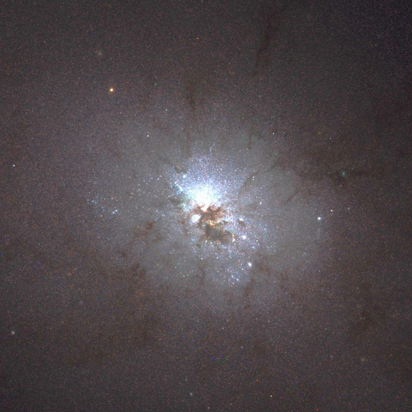 Галактика NGC 3077