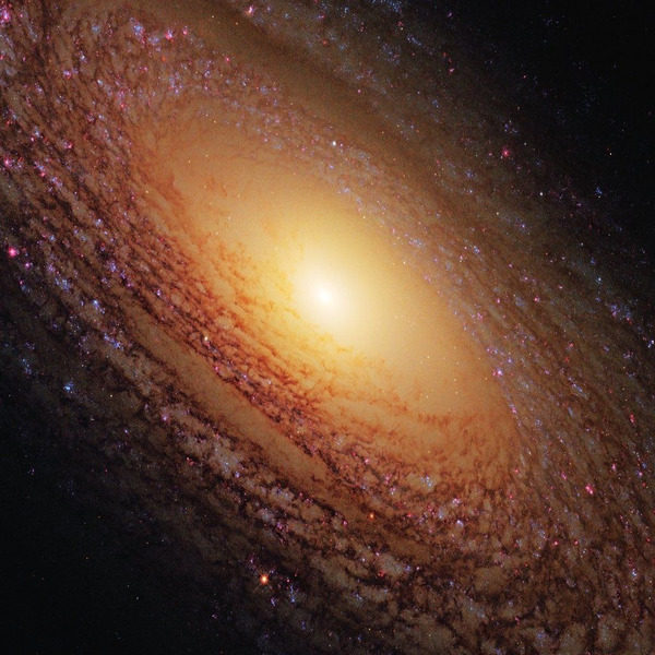 галактика NGC 2841