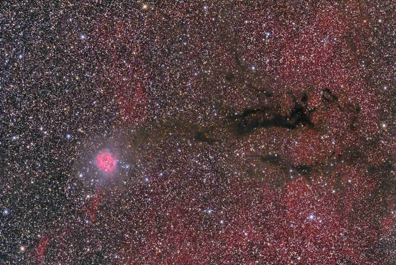 Рассеянное звёздное скопление IC 5146