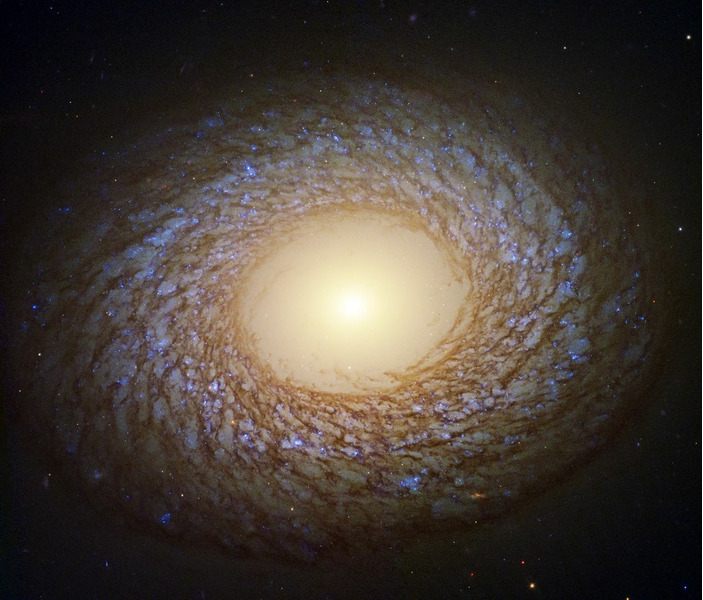 Спиральная галактика NGC 2775