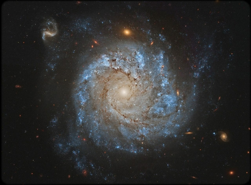 спиральная галактика NGC 1309