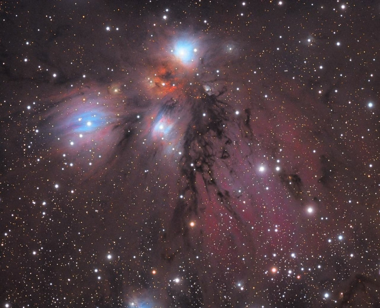 Пылевая туманность Ангел (NGC 2170)