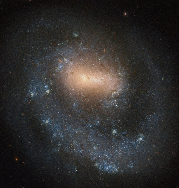 Галактика NGC 4618