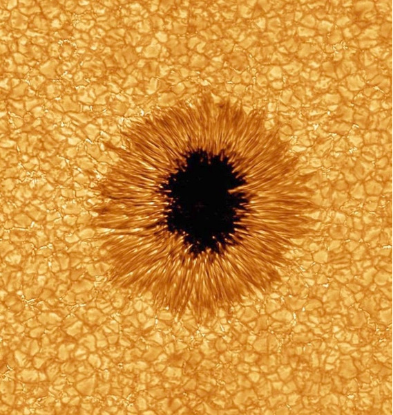 Один из самых четких в истории снимков солнечных пятен