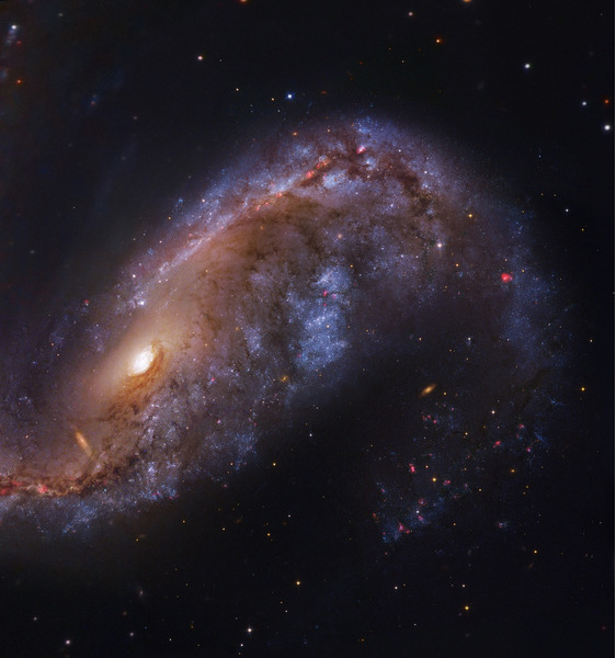 Искаженная галактика NGC 2442