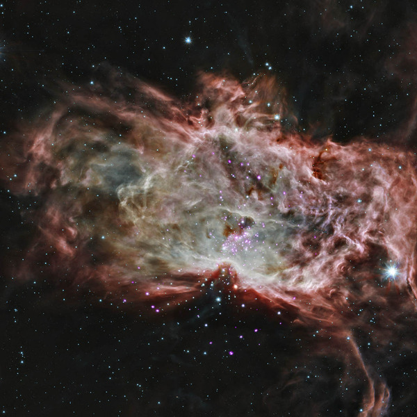 Туманность NGC 2024