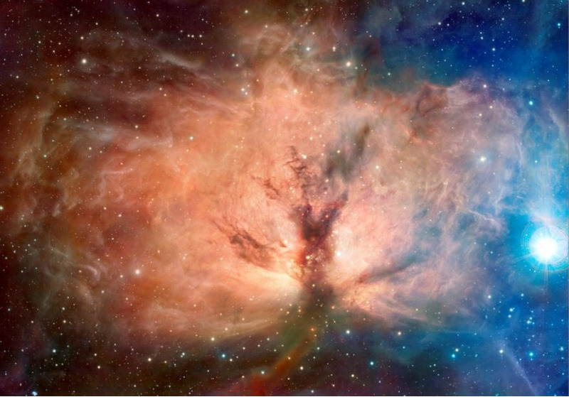 Туманность NGC 2024