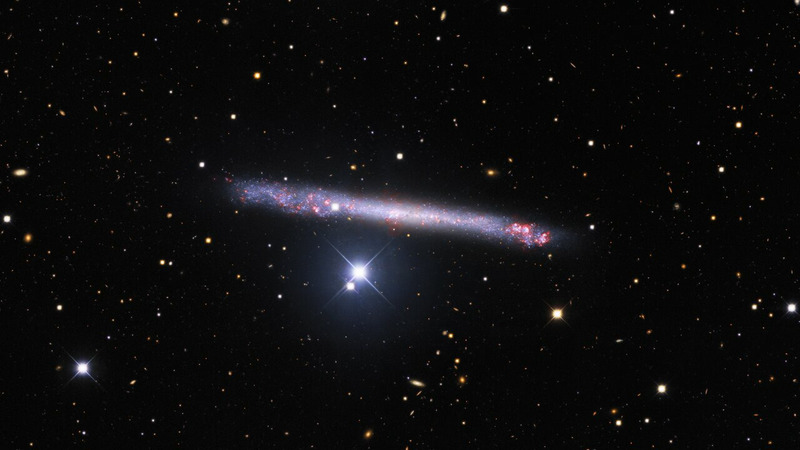 Галактика IC 2233