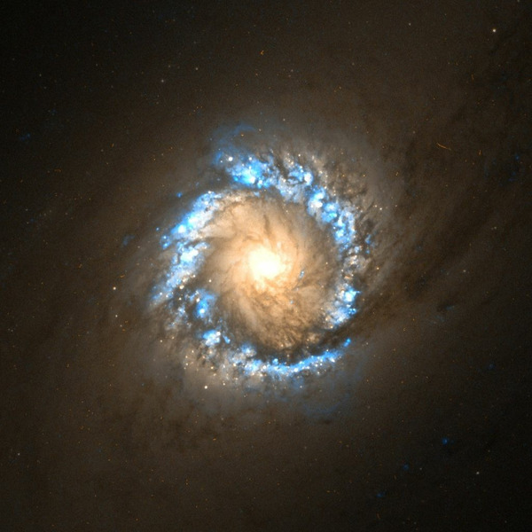 Кольцо районов звездообразования в NGC 1097. Фотография телескопа Хаббл.