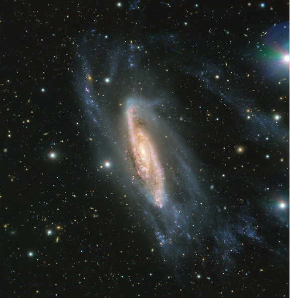 Галактика NGC 3981