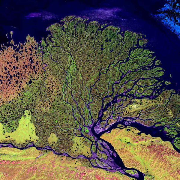 Спутниковая фотография дельты реки Лена