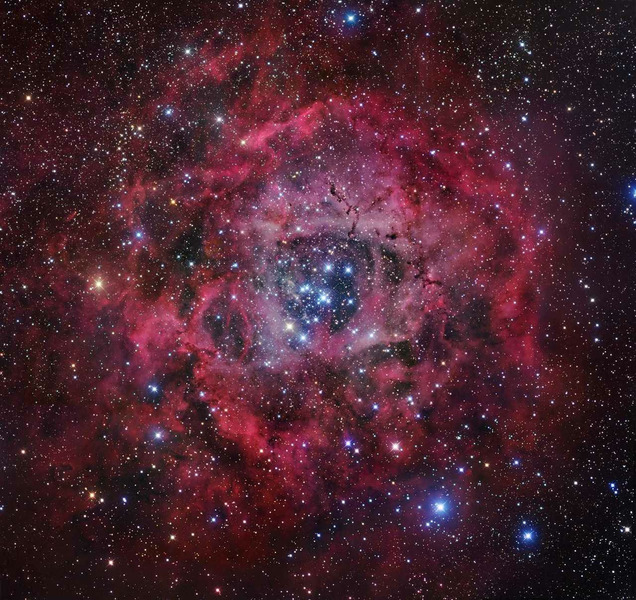 Туманность Розетка (Rosette nebula - NGC 2237)