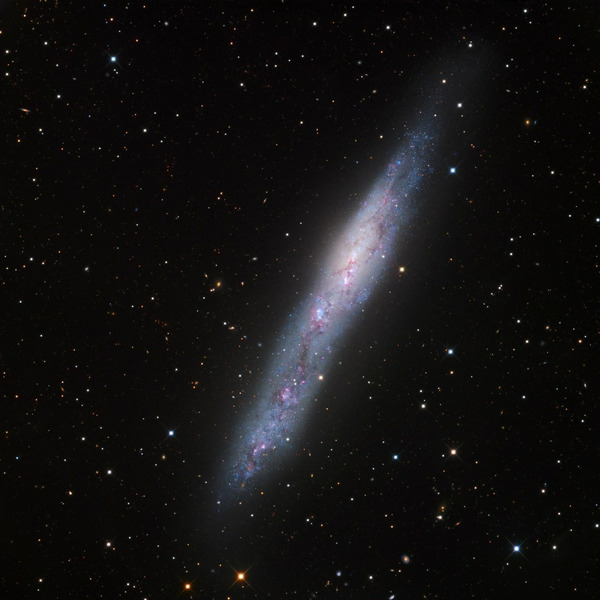 Галактика NGC 55