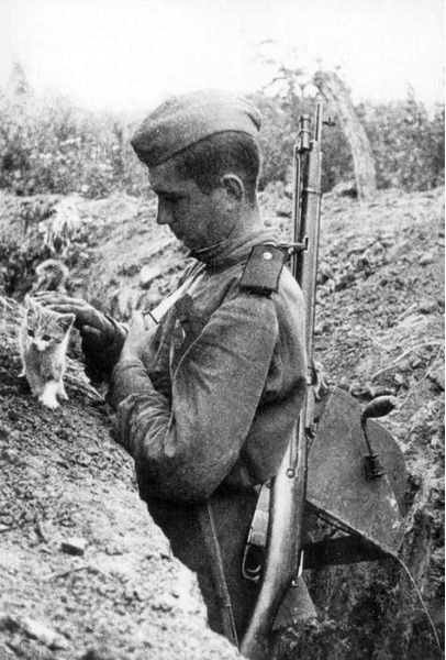 Советский солдат с котенком