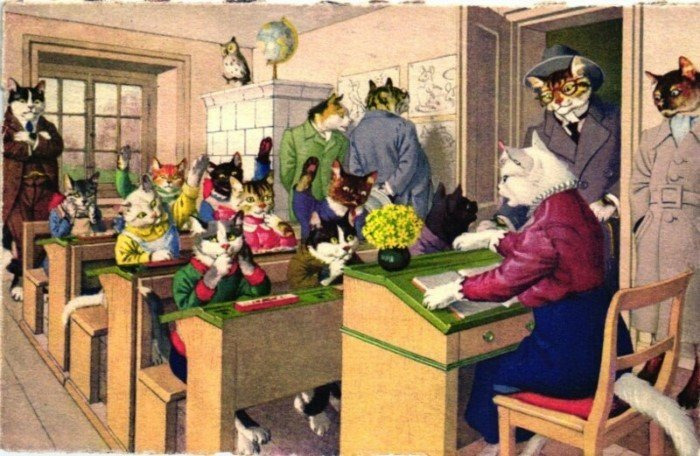 Немецкие открытки с котиками